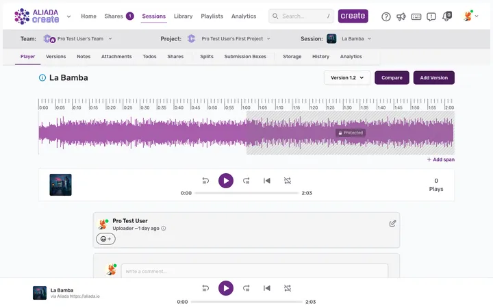The Aliada session detail page showing the team/project/session selector, activity tabs, waveform, and player